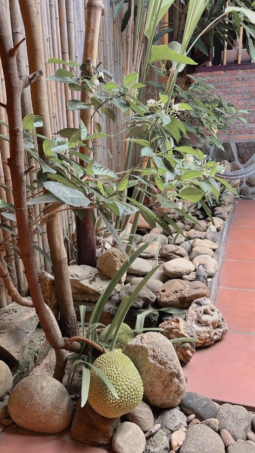 Homestay Da Nang Full House المظهر الخارجي الصورة